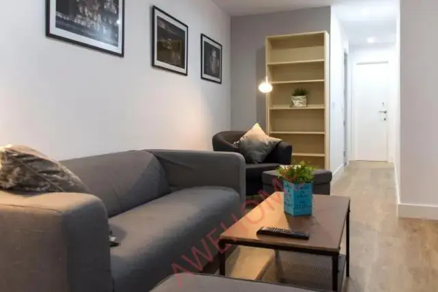 馬德里租房apartment in Ibiza (Retiro)