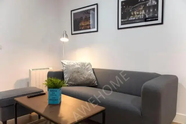 馬德里租房apartment in Ibiza (Retiro)