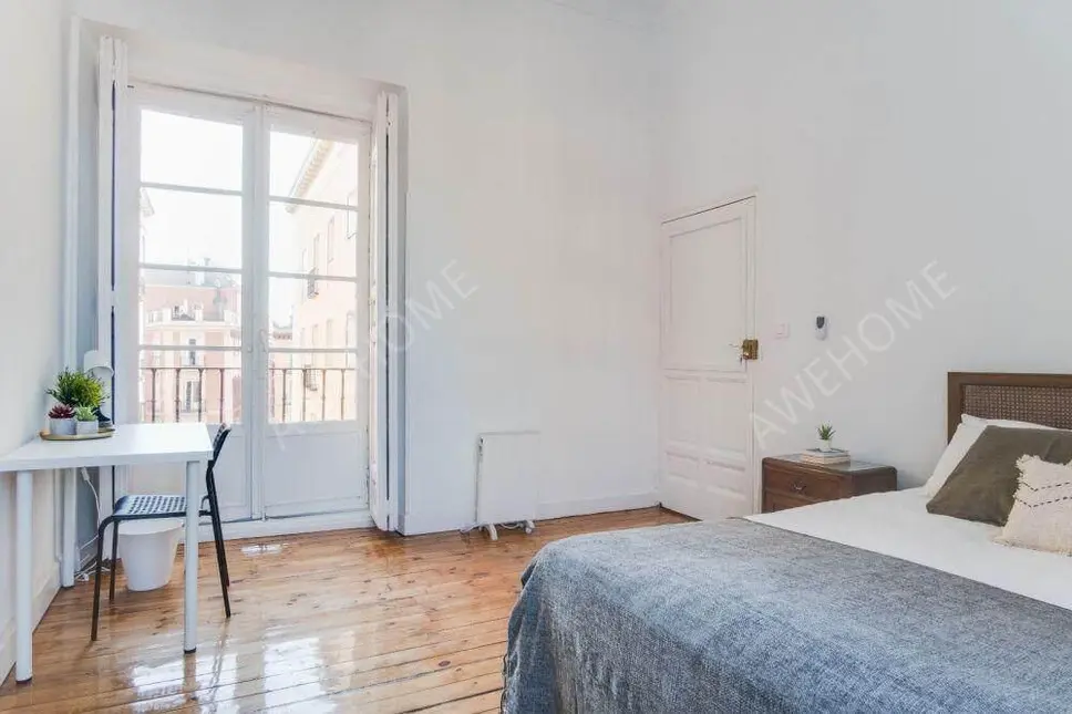 馬德里租房apartment in Sol (Centro)
