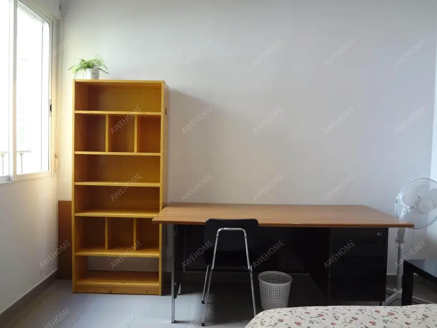 馬德里租房apartment in Lavapies  Embajadores (Centro)