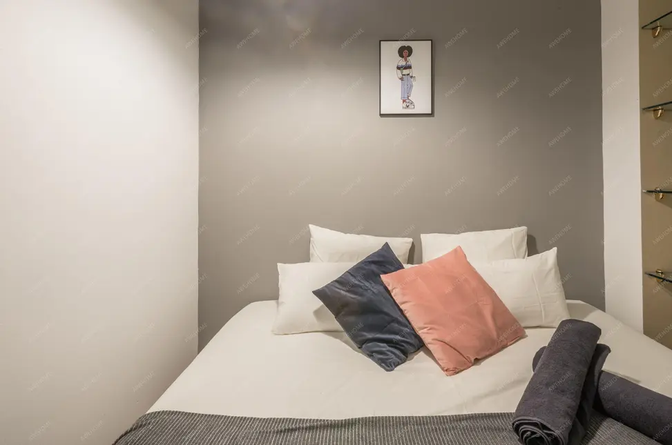 馬德里租房apartment in Lavapies  Embajadores (Centro)
