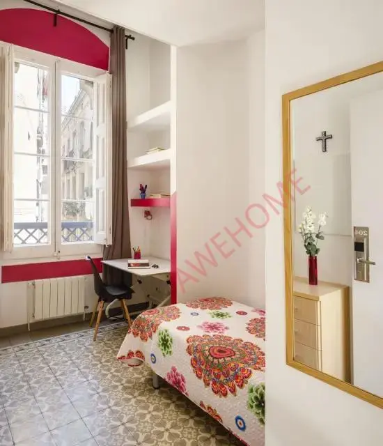 巴塞隆納租房Residencia Reina de la Pau(female residence)