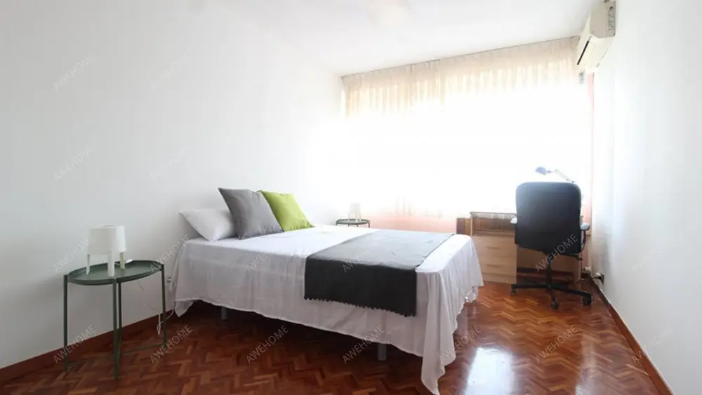 馬德里租房apartment near Paseo de la Castellana