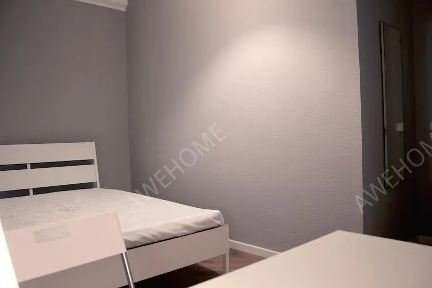 馬德里租房apartment in Castellana (Salamanca)
