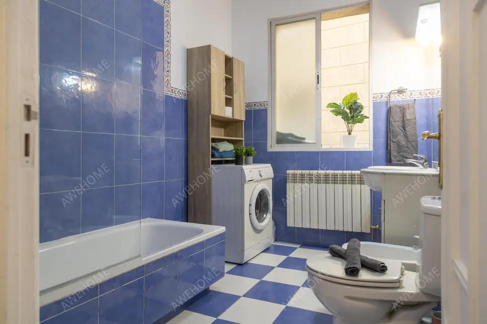 馬德里租房apartment in El Viso (Chamartin)