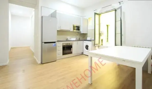 馬德里租房apartment in Recoletos (Salamanca)