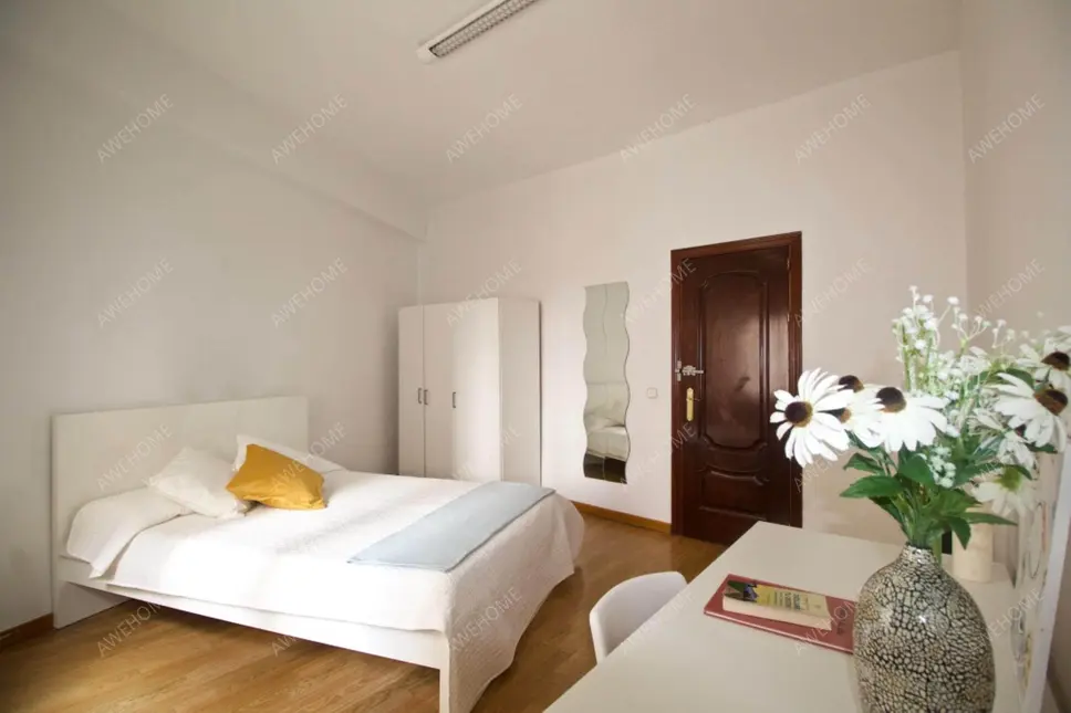 馬德里租房apartment in Almagro (Chamberi)
