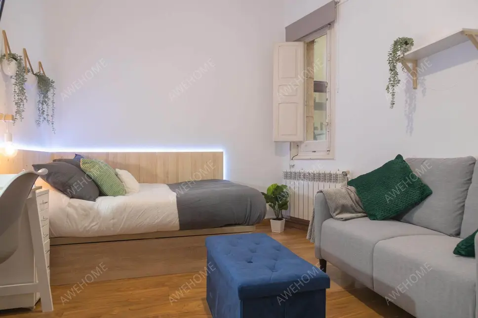 馬德里租房apartment in El Viso (Chamartin)