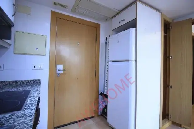 馬德里租房apartment near Calle del Dr Martin Arevalo