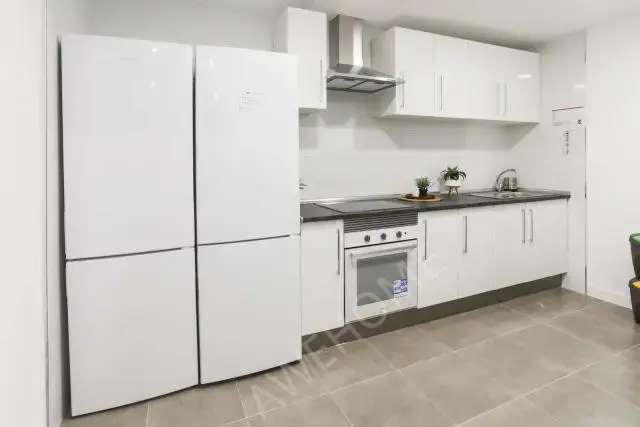 馬德里租房apartment in Vallehermoso (Chamberi)