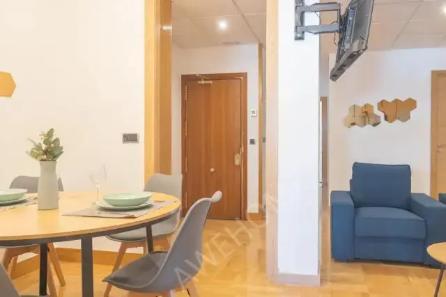 馬德里租房apartment in Cuatro Caminos (Tetuan)