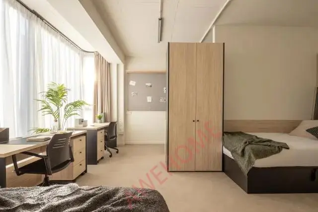 瓦倫西亞租房AMRO Valencia