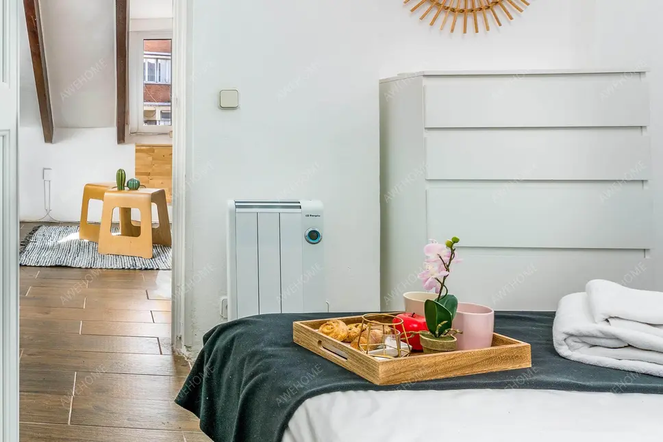 馬德里租房apartment in Lavapies  Embajadores (Centro)