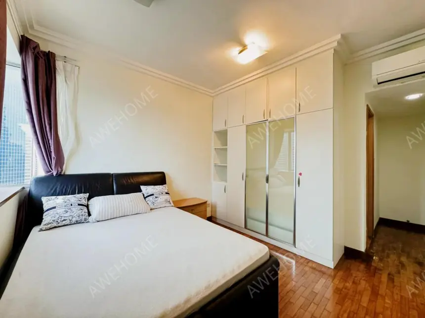 Singapore Rentals近Kaplan PSB JCU Thomson Euro-Asia公寓