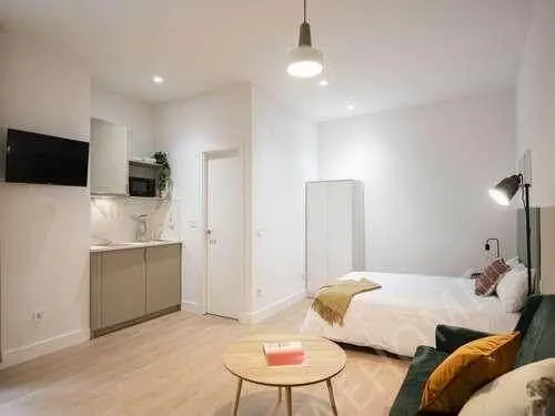 馬德里租房apartment in Sol (Centro)