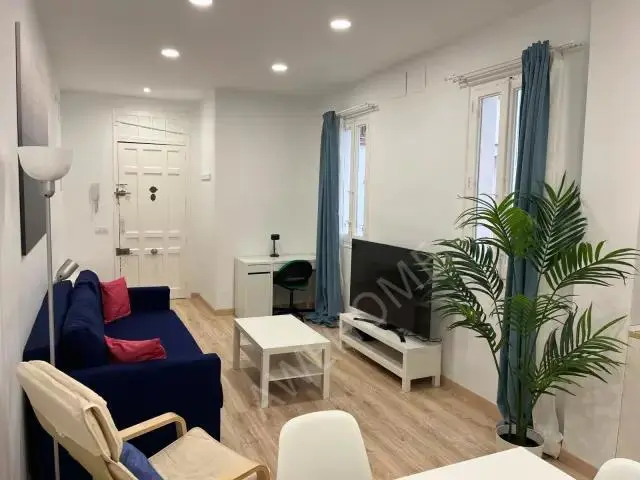 馬德里租房apartment in Rios Rosas (Chamberi)