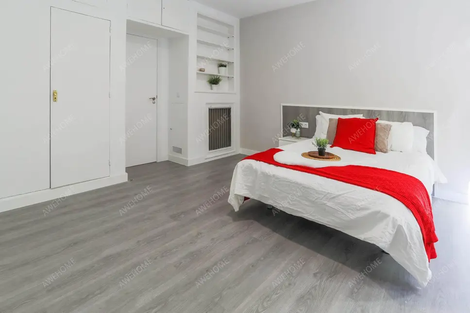 馬德里租房apartment in Vallehermoso (Chamberi)