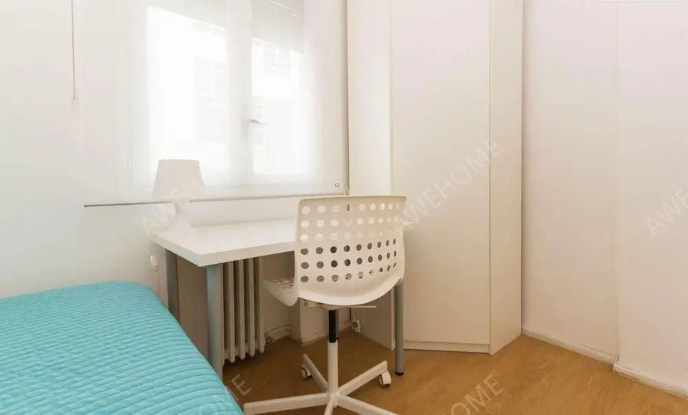 馬德里租房apartment near Paseo de la Castellana