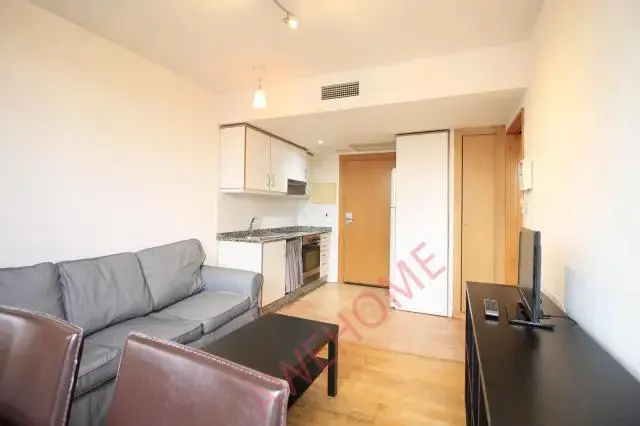 馬德里租房apartment near Calle del Dr Martin Arevalo