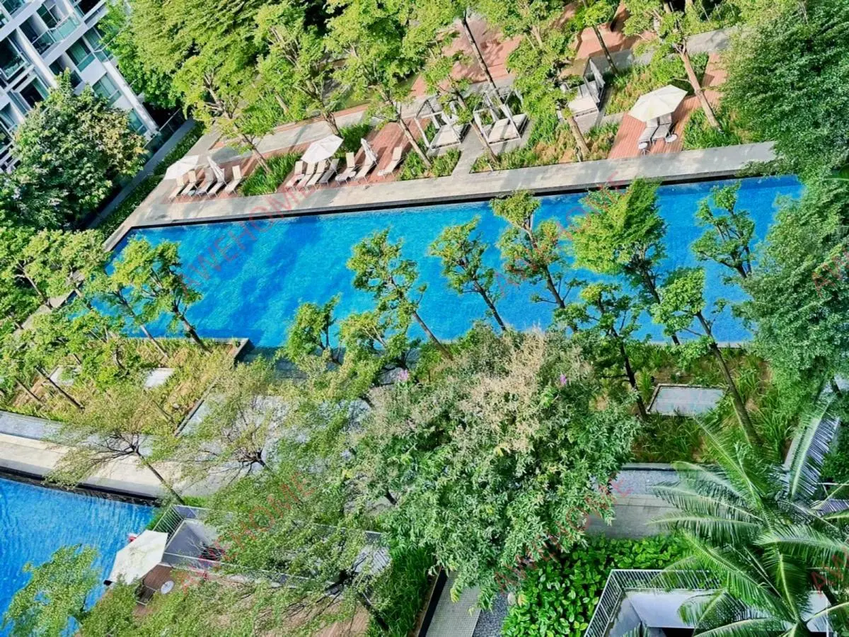 新加坡租房近NUS Curtin Botannia合租公寓
