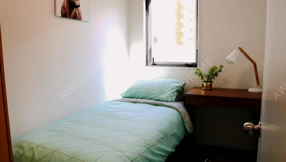 Auckland Rentals421 Queen Street