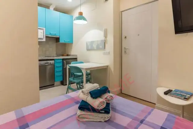 馬德里租房apartment in Malasana Universidad (Centro)