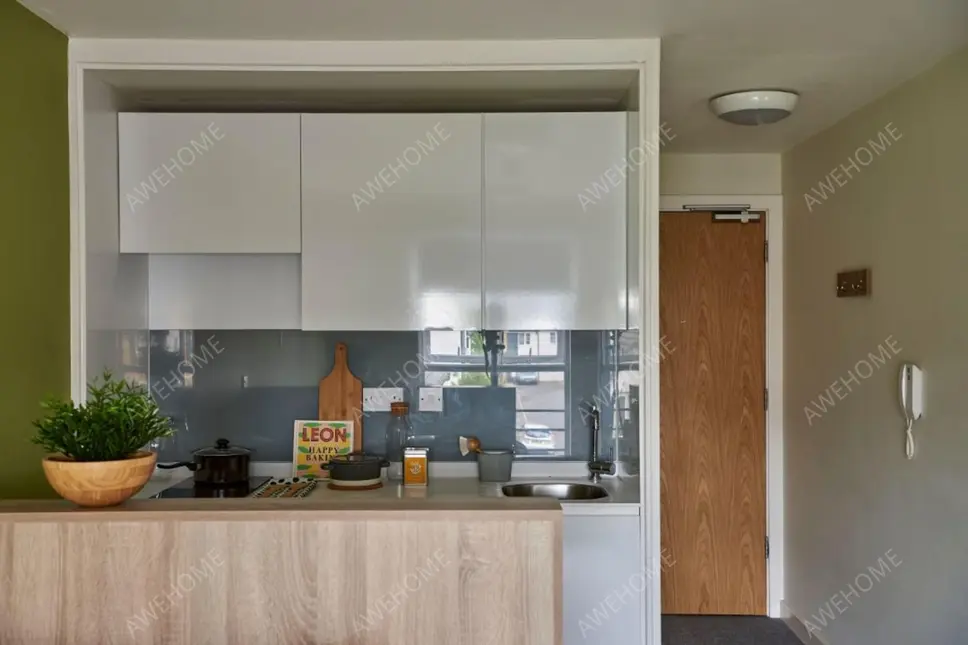 伯明罕租房Selly Oak Court  Birmingham