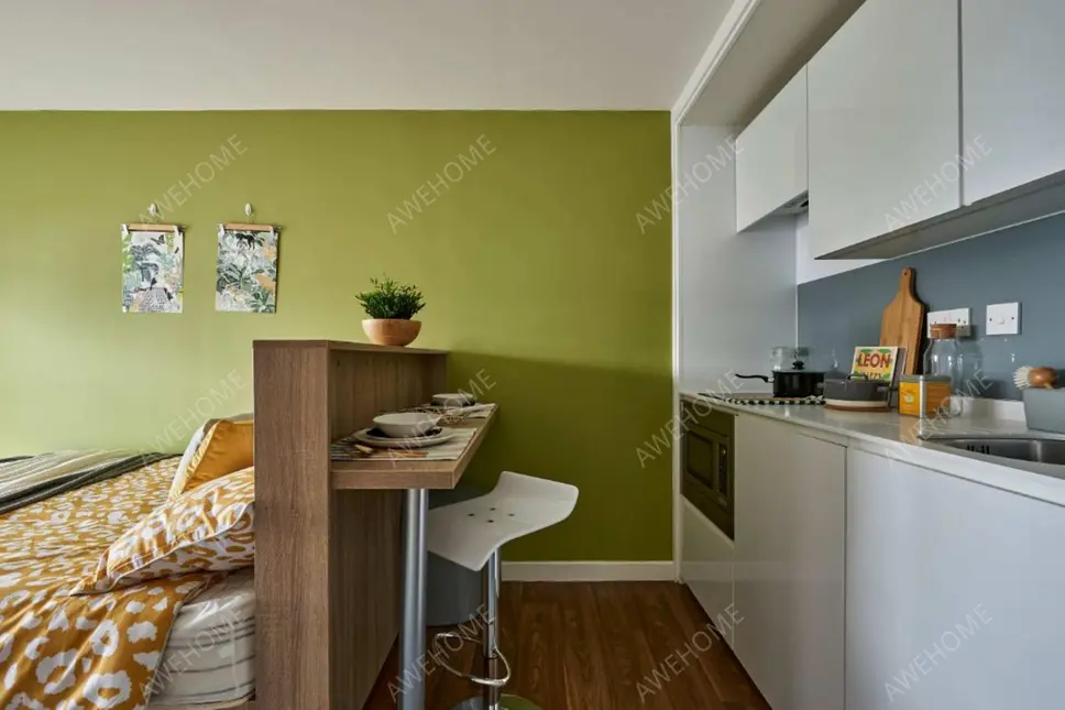 伯明罕租房Selly Oak Court  Birmingham