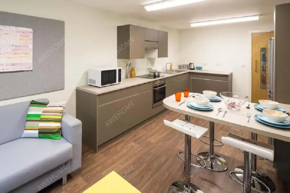 伯明罕租房Selly Oak Court  Birmingham