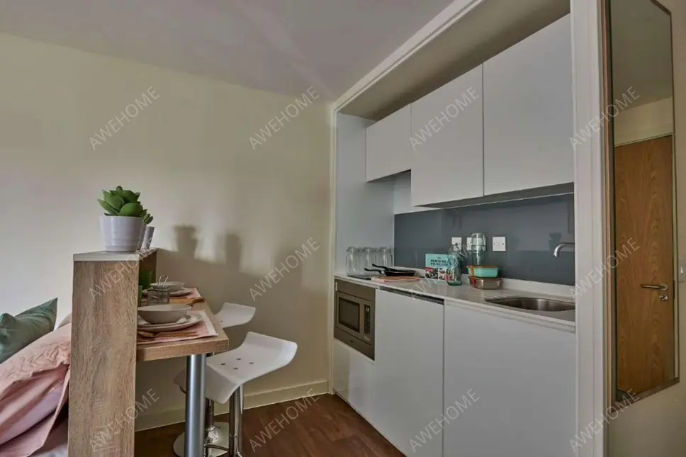 伯明罕租房Selly Oak Court  Birmingham