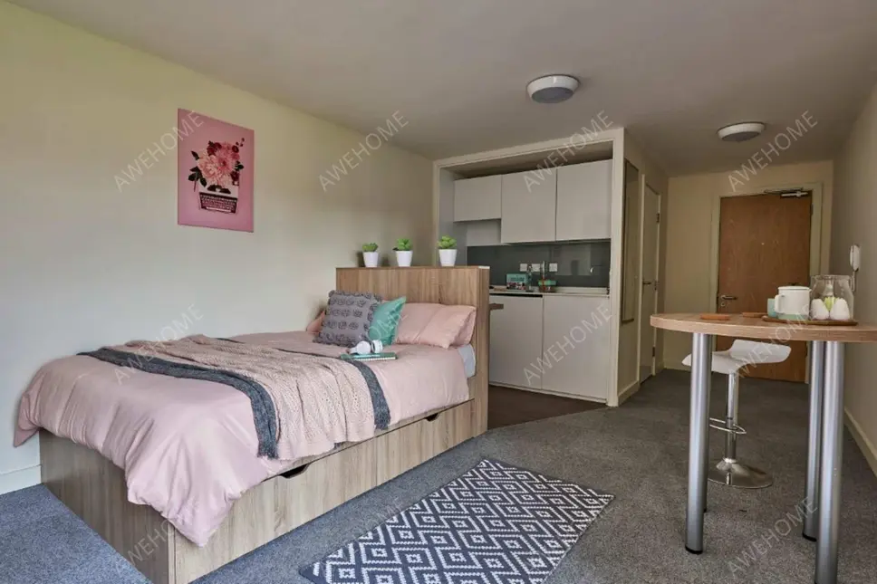 伯明罕租房Selly Oak Court  Birmingham