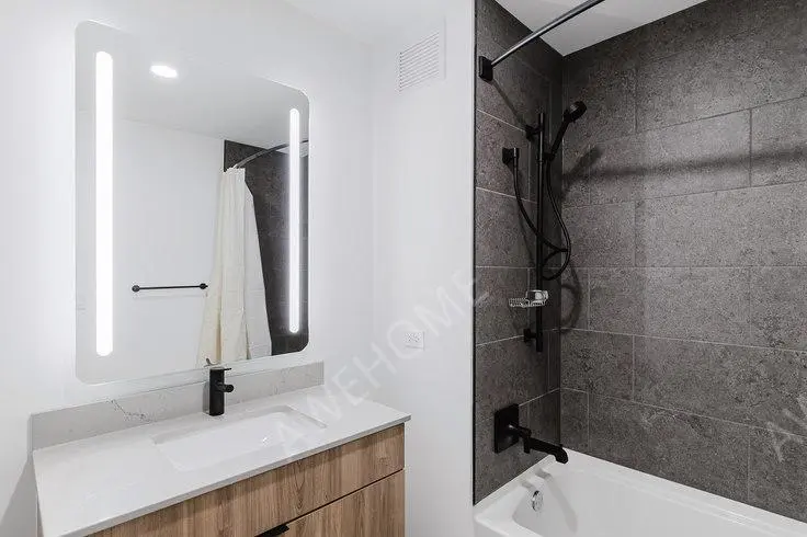 芝加哥租房535 N Saint Clair St 1146