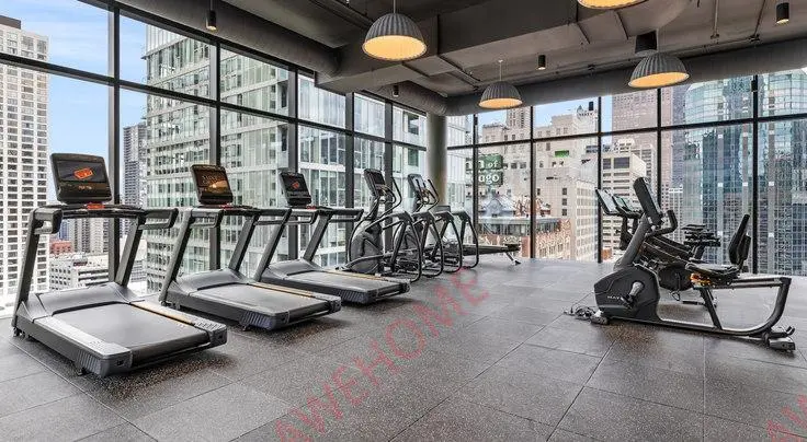 芝加哥租房535 N Saint Clair St 1147