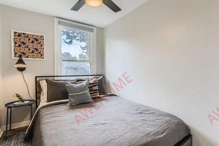 Denver RentalsNorth Downing Street 1054709P