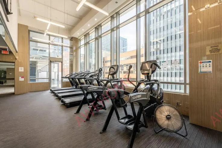 多伦多租房Lillian Street 1036919P