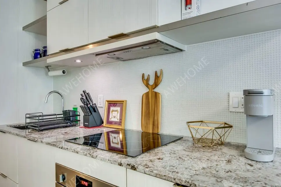 多倫多租房Masseys Magnificent Condo