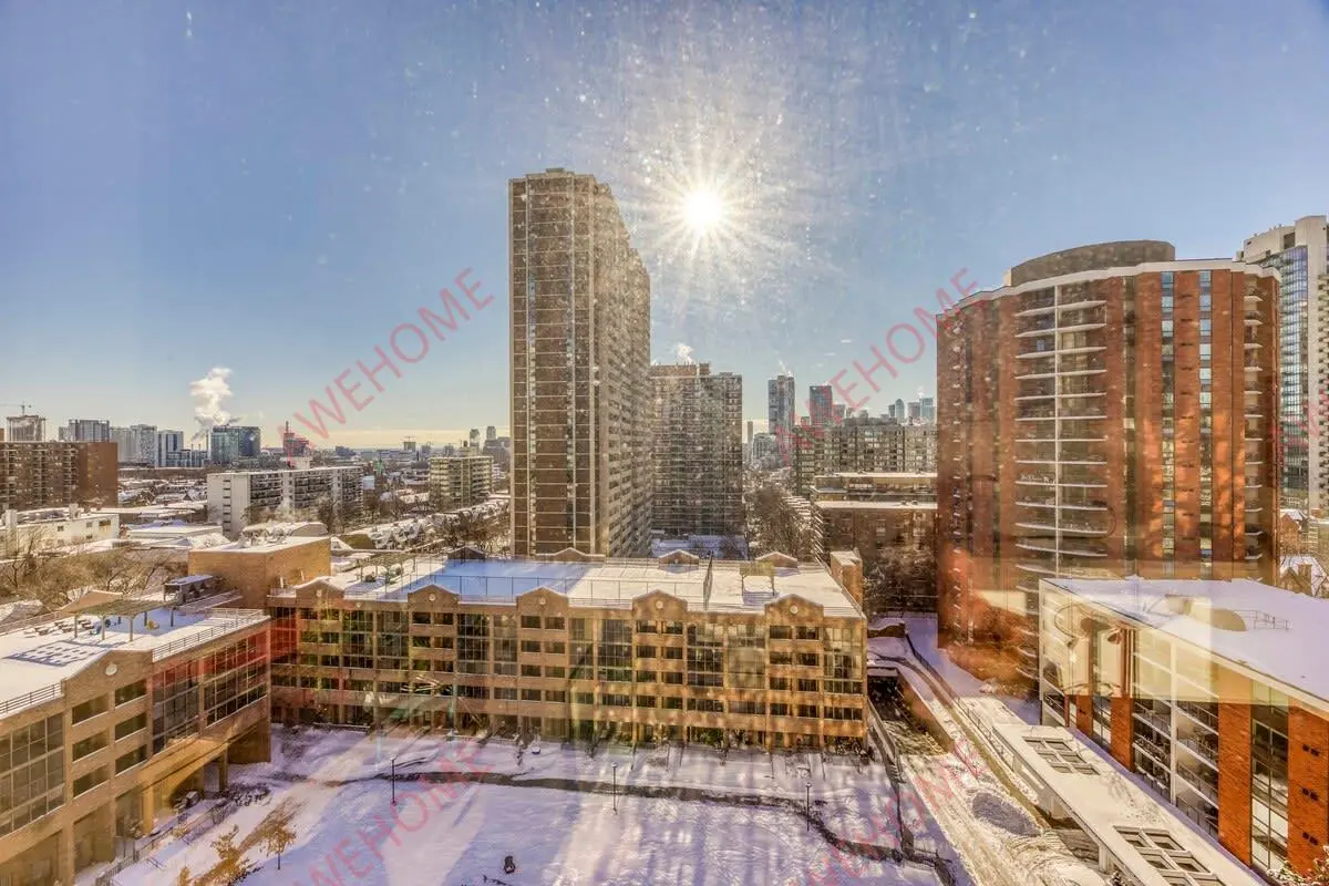 多倫多租房Downtown Toronto - Maitland St