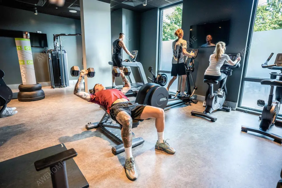 伯明罕租房The Toybox