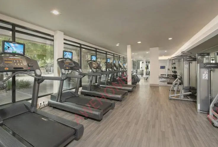 奧斯汀租房Residences at the Domain 176