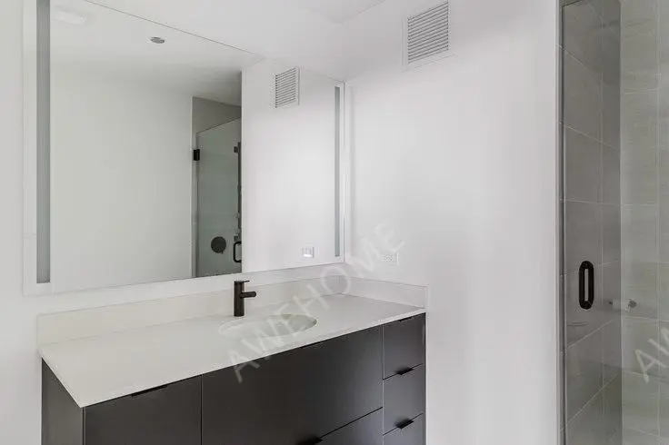芝加哥租房225 North Elizabeth St 1101