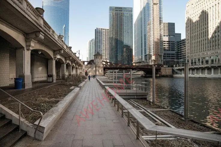 芝加哥租房The Chicagoan 269