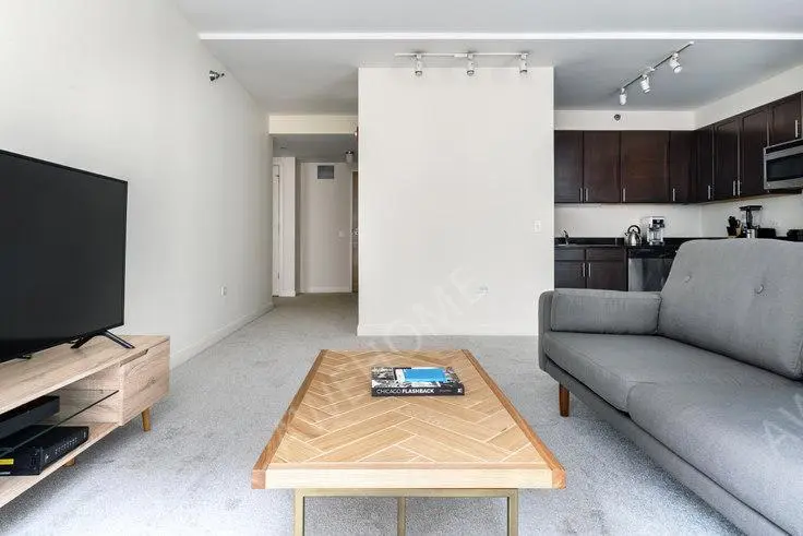 芝加哥租房Lake  Wells Apartments 242