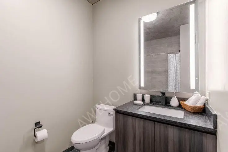 芝加哥租房Union West Apartments 205