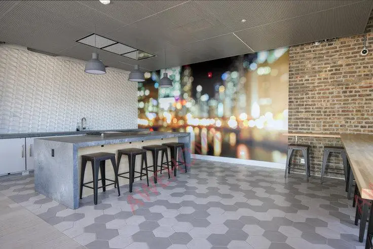 芝加哥租房Southport Lofts 569