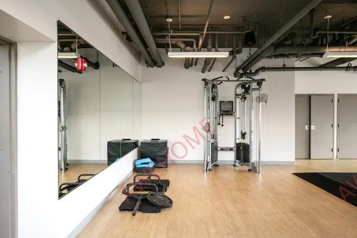 芝加哥租房1000 S Clark St 995