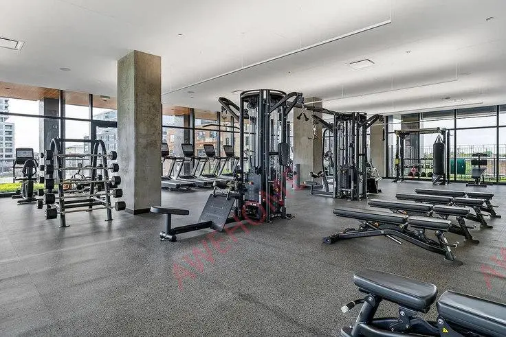芝加哥租房225 North Elizabeth St 1102