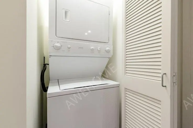 芝加哥租房Lake  Wells Apartments 212