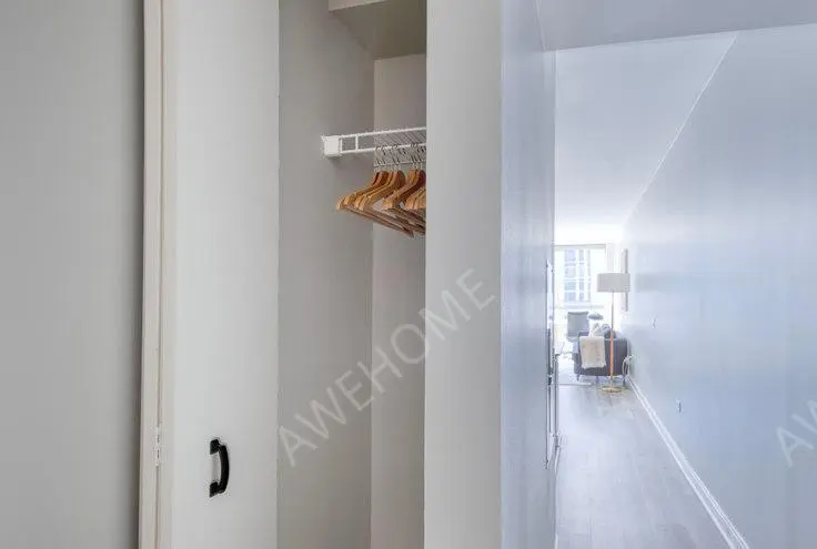 芝加哥租房Lake  Wells Apartments 1074