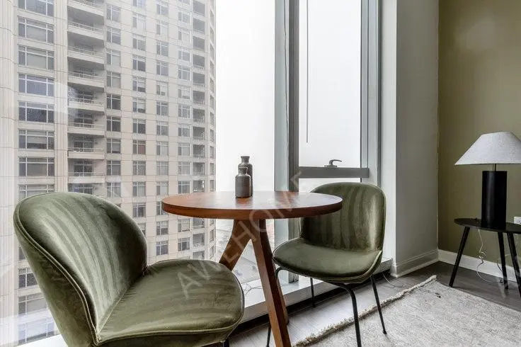 芝加哥租房500 N Lake Shore Dr 1022