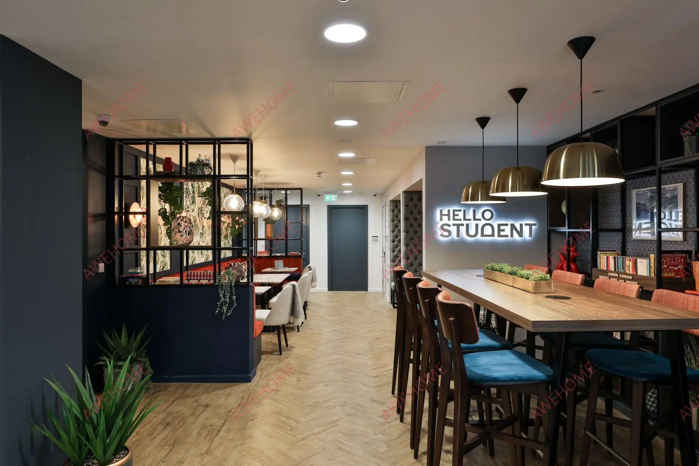 卡迪夫租房Summit House